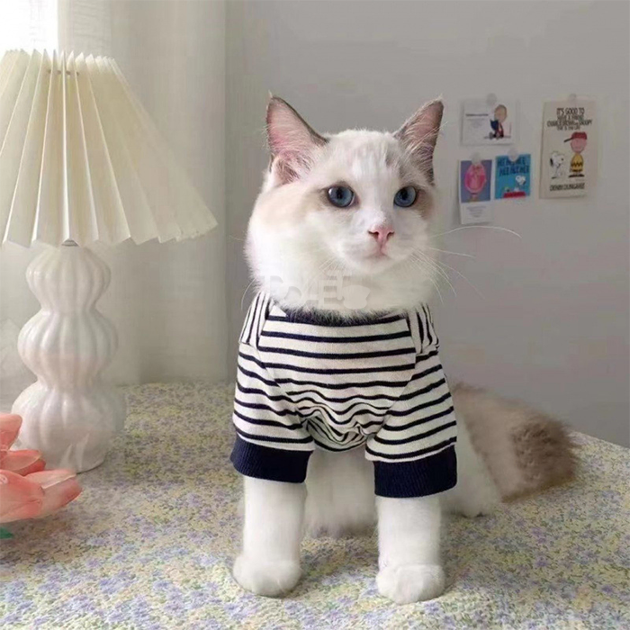 Cat Sweatshirts